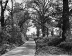 August Lane 1927, Farley Green