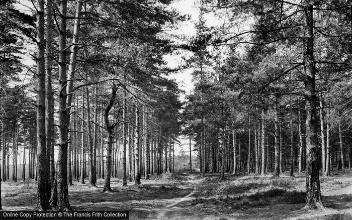 Photo of Farley Green, Pathway To Farley Heath 1927