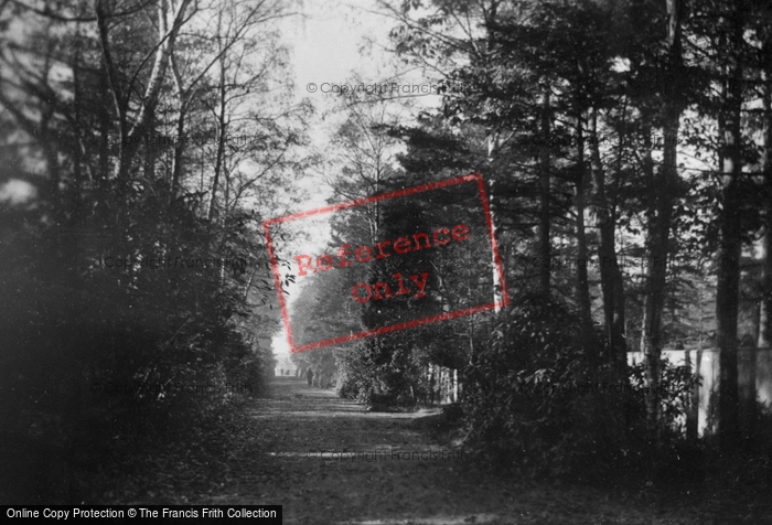 Photo of Farnborough, By Way Off Alexandra Road 1923