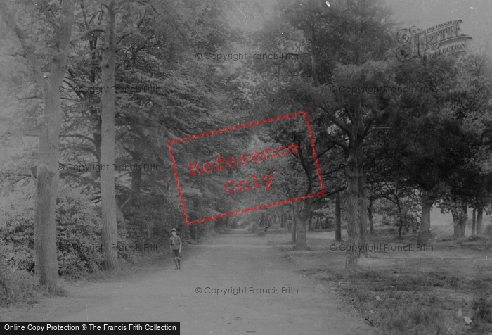 Photo of Farnborough, Common Government House Lane 1919