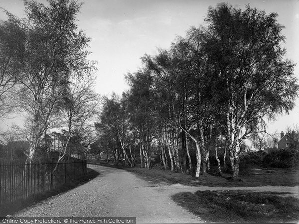 Photo of Farnborough, The Common 1931 - Francis Frith