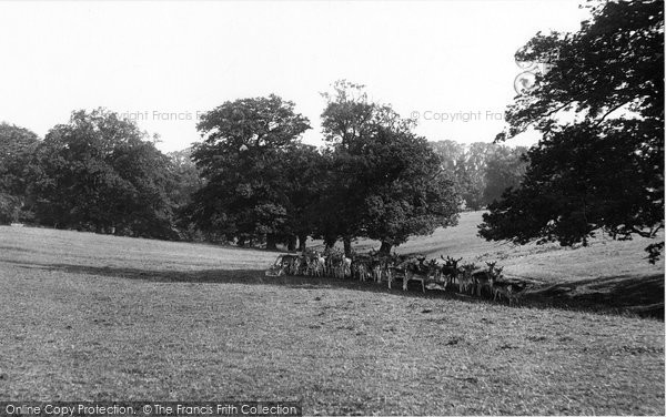 Photo of Farnham, Park 1906