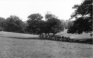 Park 1906, Farnham