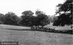 Park 1906, Farnham