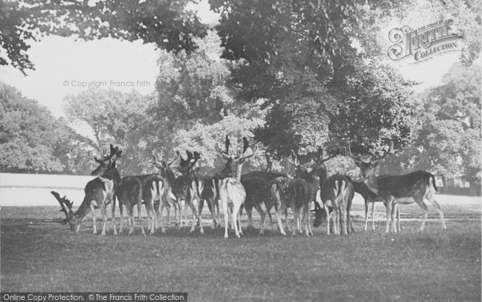 Photo of Farnham, Park 1906