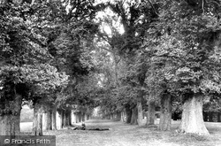 Park, The Avenue 1895, Farnham