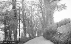 Sparepenny Lane c.1955, Farningham