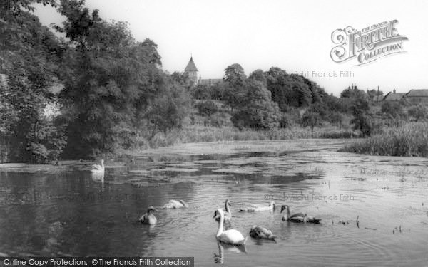 Photo of Faversham, The Pond c.1960
