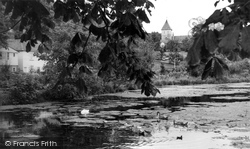 The Pond c.1960, Faversham