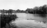 The Lake c.1965, Felbridge