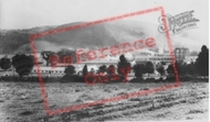 The Milk Marketing Board c.1965, Felinfach