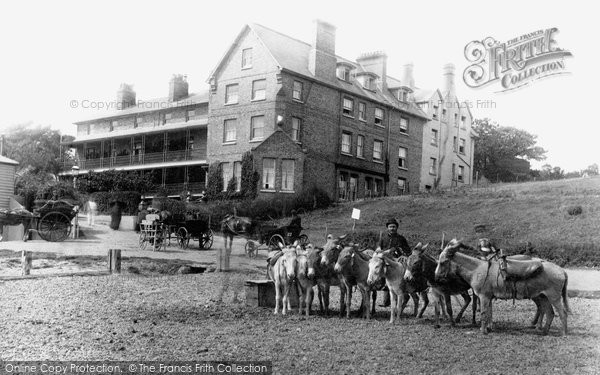 Photo of Felixstowe, Beach Donkeys And The Bath Hotel 1891