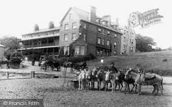 Beach Donkeys And The Bath Hotel 1891, Felixstowe