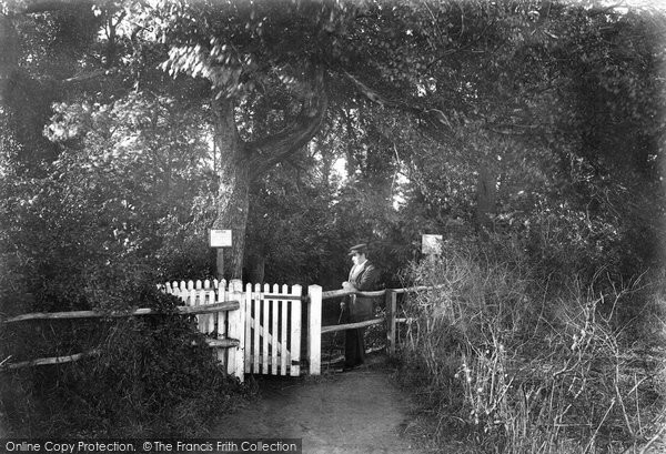 Photo of Felixstowe, Entrance To The Grove 1906
