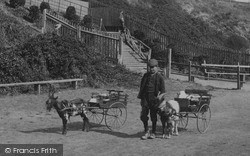 Goat Carts 1906, Felixstowe