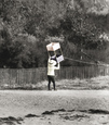 Kite Flying 1907, Felixstowe