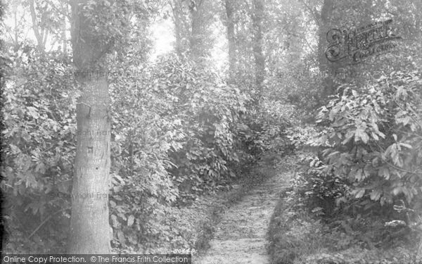 Photo of Felixstowe, The Grove 1903