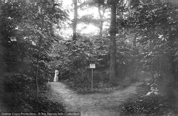 Photo of Felixstowe, The Grove 1906