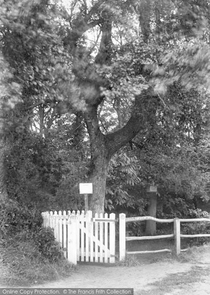 Photo of Felixstowe, The Grove 1909