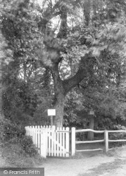 The Grove 1909, Felixstowe