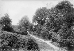 1902, Fernhurst