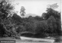 1902, Fernhurst