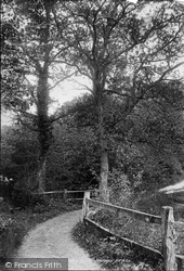 Mill Hanger 1902, Fernhurst