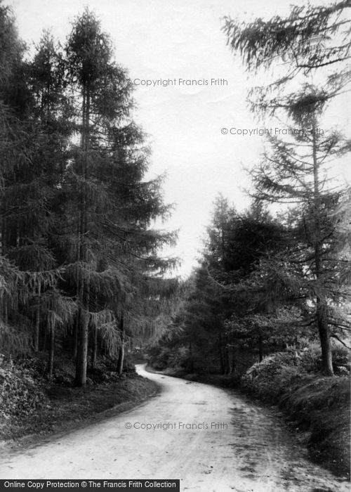 Photo of Fernhurst, Road 1910