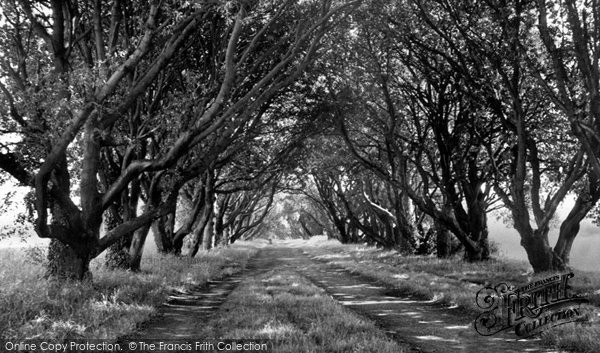 Photo of Ferring, Ilex Way c.1955