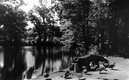 The Pond c.1965, Ferring