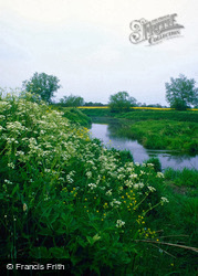 The River Stour 2006, Fiddleford