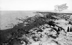 Brigg Cliffs 1890, Filey