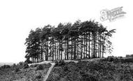 The Ridges 1927, Finchampstead