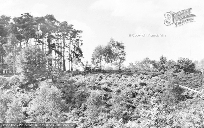 Photo of Finchampstead, The Ridges c.1955