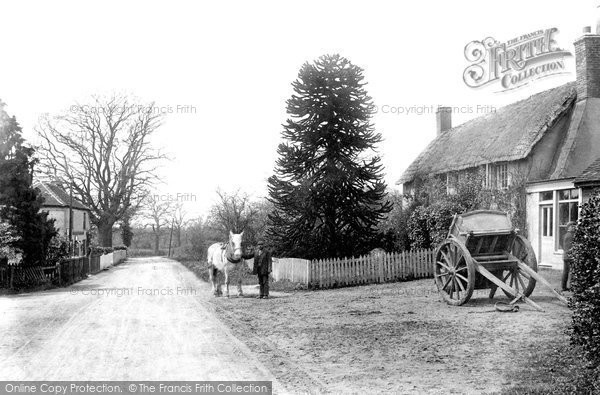 Photo of Finchampstead, The Village 1908