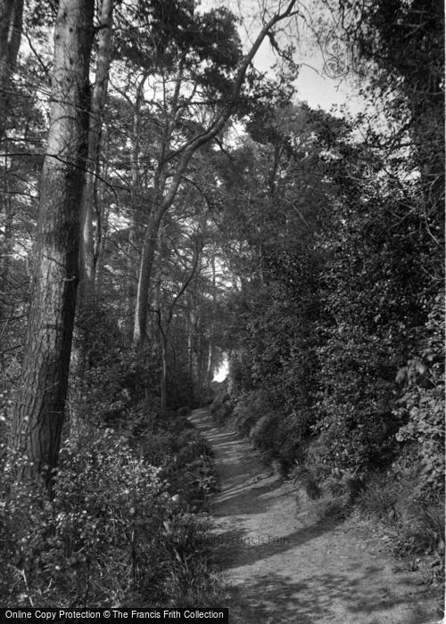 Photo of Fittleworth, Birch Walk 1914