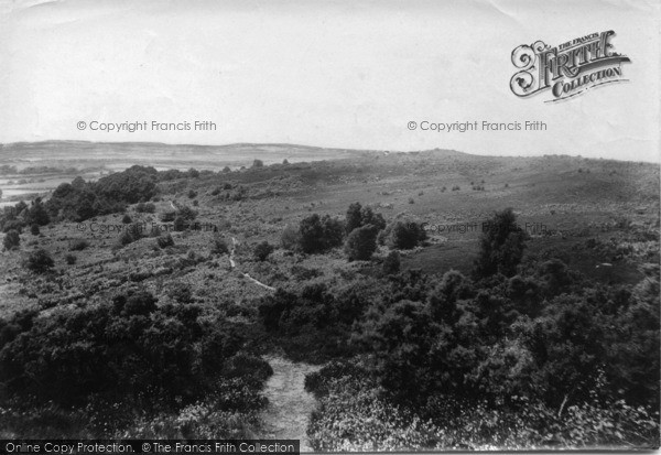 Photo of Fittleworth, Common 1908