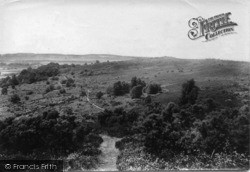 Common 1908, Fittleworth