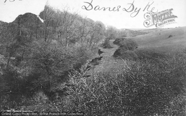 Photo of Flamborough, Danes Dyke c.1885