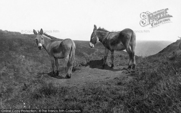 Photo of Flamborough, Donkeys At Danes Dyke 1888