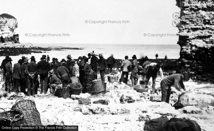Photo of Flamborough, North Landing 1886