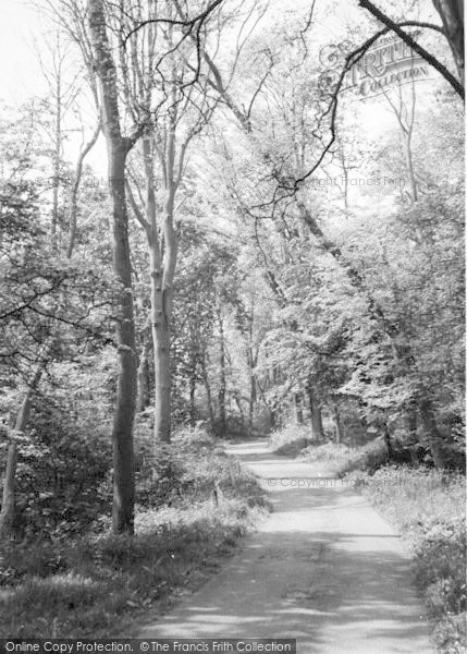 Photo of Flamborough, The Path To Danes Dyke 1967