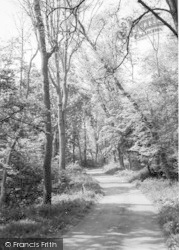 The Path To Danes Dyke 1967, Flamborough