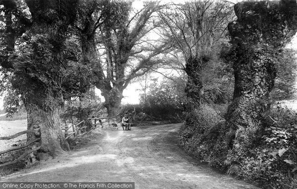 Photo of Flatford, Constable's Lane 1907