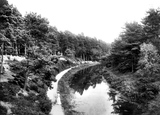 Basingstoke Canal And Pystock Wood 1908, Fleet