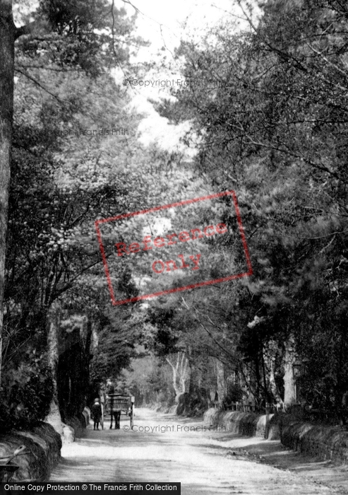 Photo of Fleet, Church Road 1903