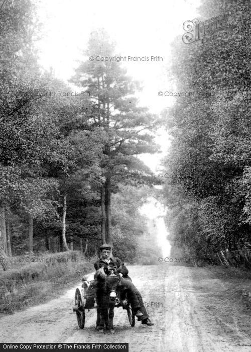 Photo of Fleet, Donkey Cart In Reading Road 1904