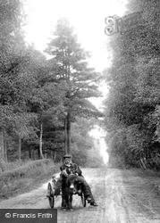 Donkey Cart In Reading Road 1904, Fleet