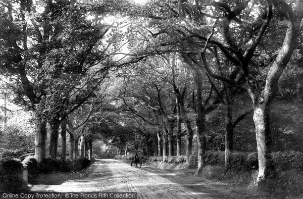Photo of Fleet, Elvetham Lane 1904