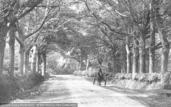 Photo of Fleet, Elvetham Lane, A Horse Cart 1904